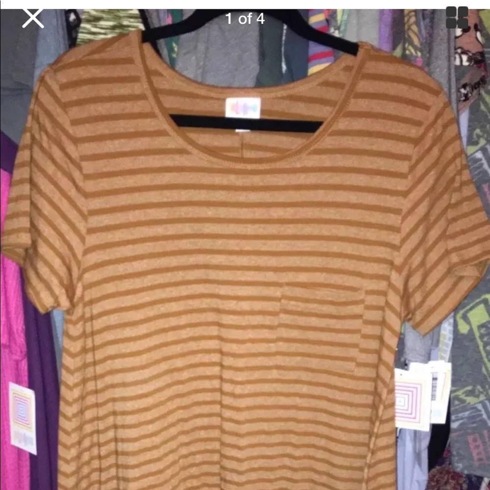 This is a lularoe Carly NWT